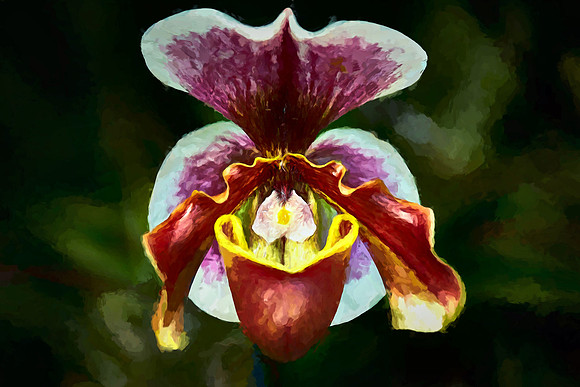 Daniel Stowe Botanical Garden