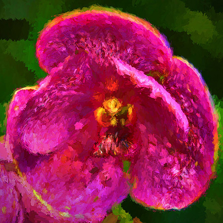 Daniel Stowe Botanical Garden