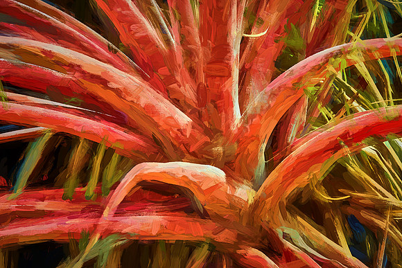 Daniel Stowe Botanical Garden