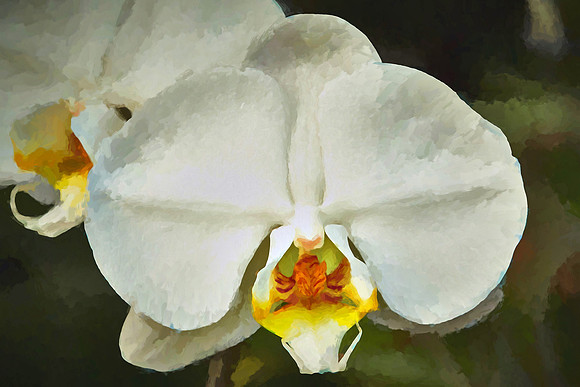 Daniel Stowe Botanical Garden