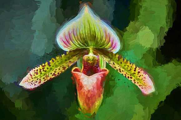 Daniel Stowe Botanical Garden