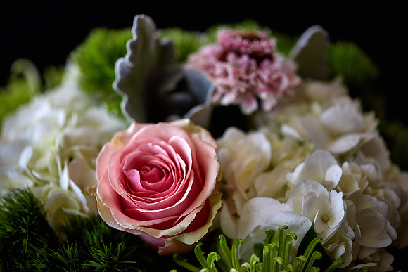 Mother's Flowers - 2017 February 14