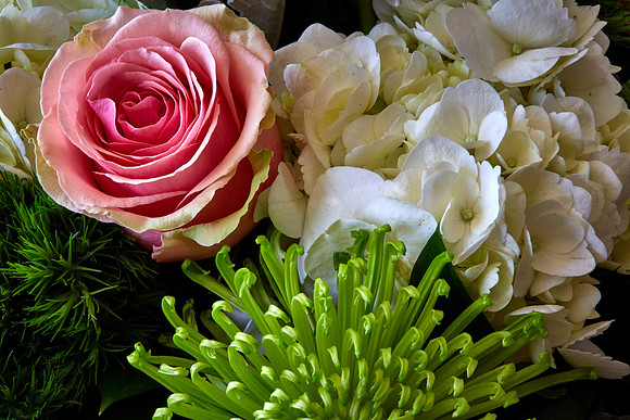 Mother's Flowers - 2017 February 14