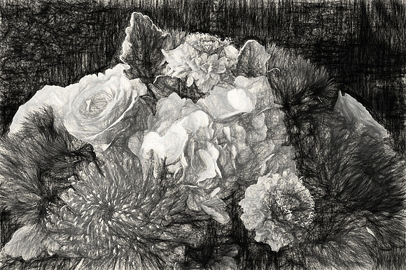 Mother's Flowers - 2017 February 14
