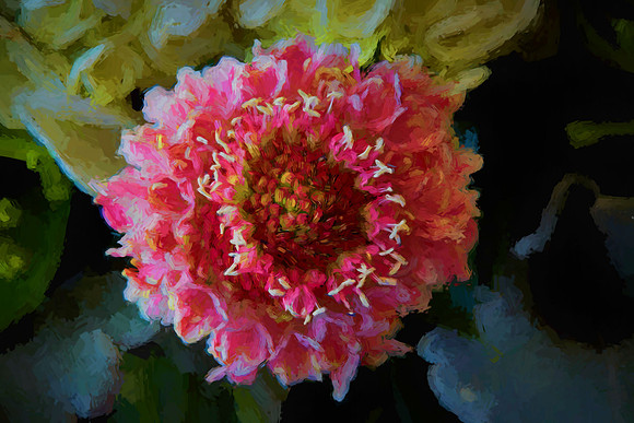 Mother's Flowers - 2017 February 14