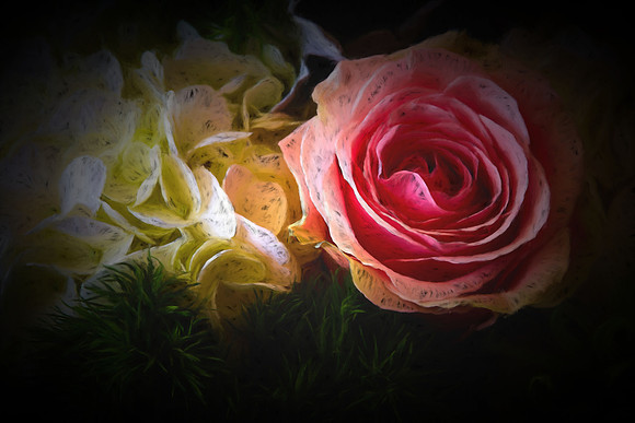 Mother's Flowers - 2017 February 14