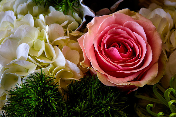 Mother's Flowers - 2017 February 14