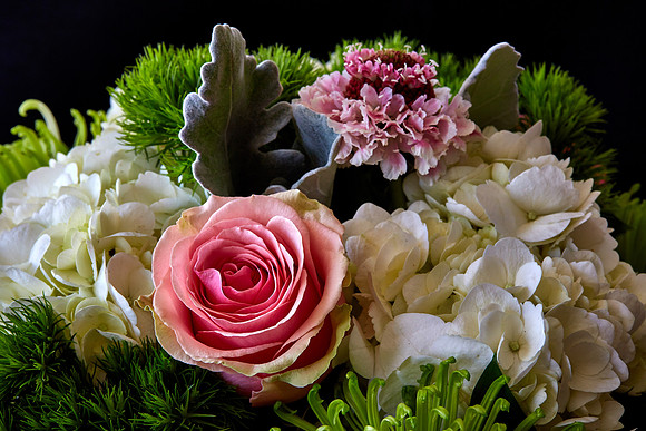 Mother's Flowers - 2017 February 14