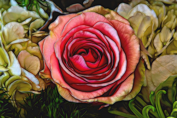 Mother's Flowers - 2017 February 14