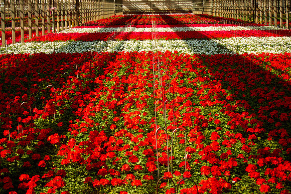 Metrolina Greenhouses, Huntersville, NC