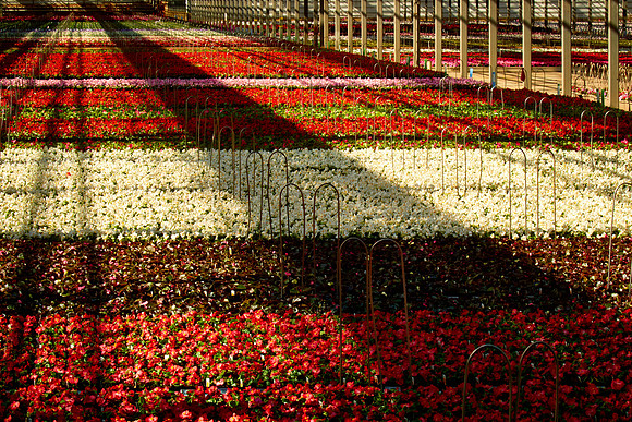 Metrolina Greenhouses, Huntersville, NC