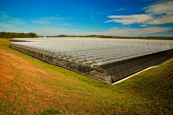 Metrolina Greenhouses, Huntersville, NC