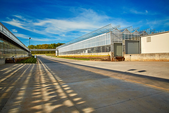 Metrolina Greenhouses, Huntersville, NC