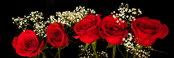 V-Day Naramore Roses