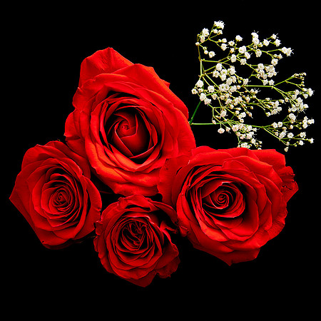 V-Day Naramore Roses