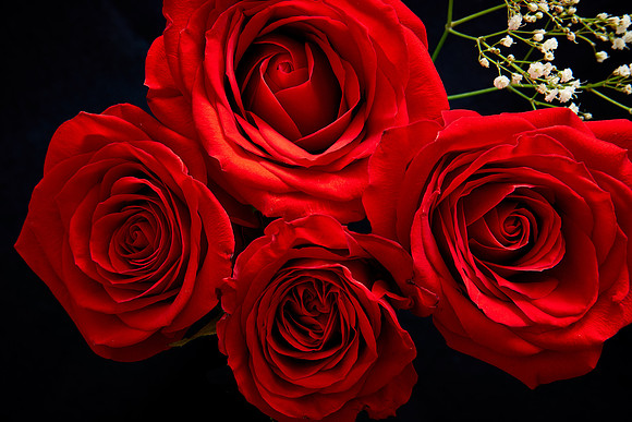 V-Day Naramore Roses