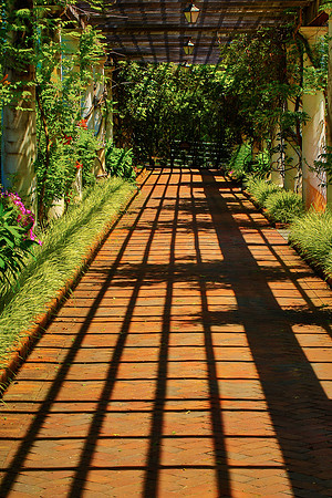 Daniel Stowe Botanical Gardens