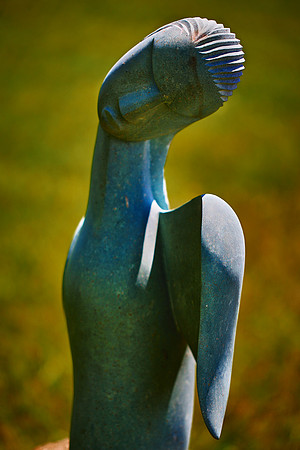 Daniel Stowe Botanical Gardens