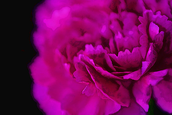 Naramore Flowers