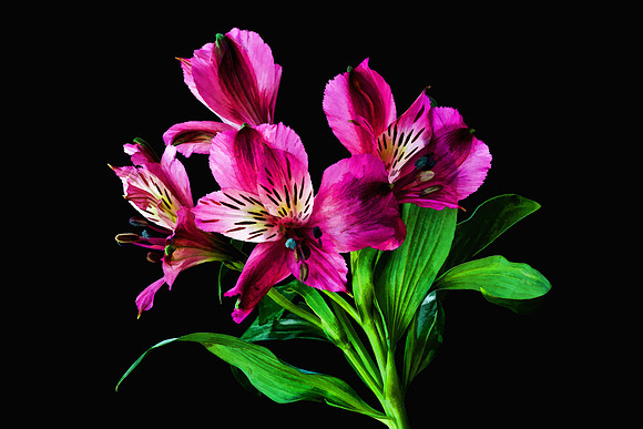 Naramore Flowers