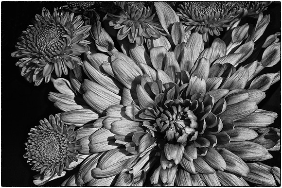 Naramore Flowers