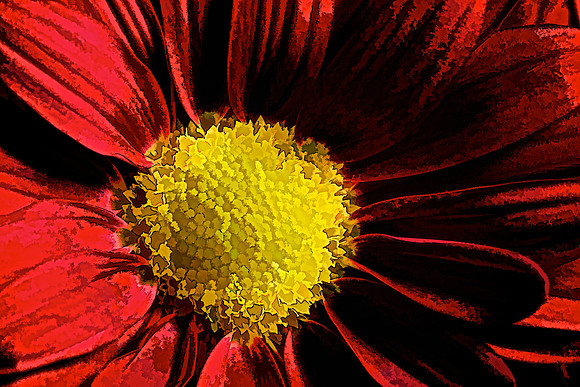 Naramore Flowers