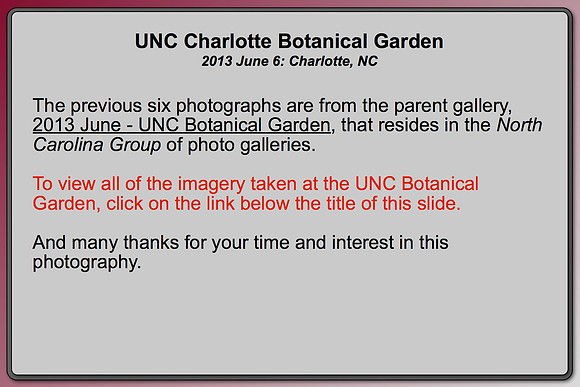 CLICK ON LINK BELOW FOR PARENT GALLERY