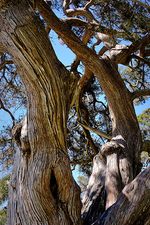 St. Simons Island, GA