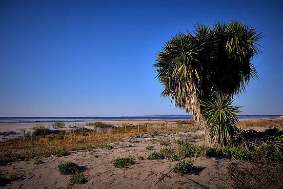 Sunrise, St. Simons Island, GA