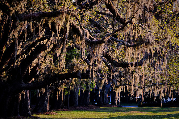 St. Simons Island, GA