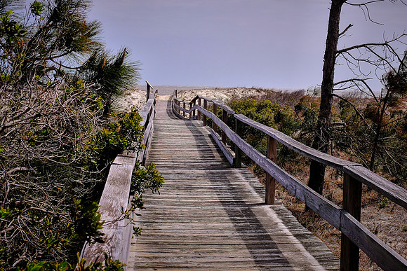 Sapelo Island, GA