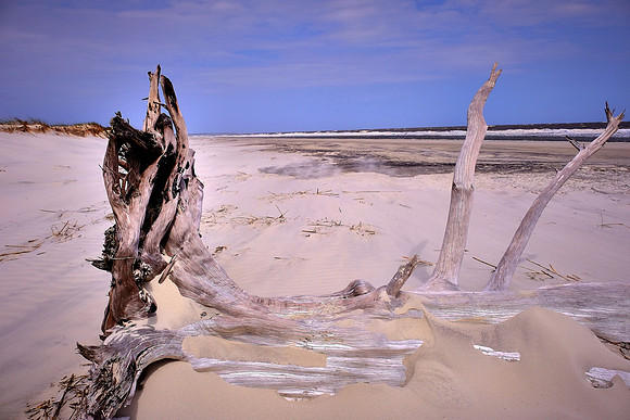 Sapelo Island, GA