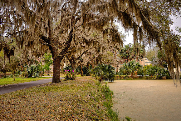 Sapelo Island, GA