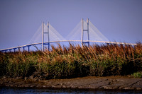 2017 March - St. Simons, Jekyll, & Sapelo Islands, GA
