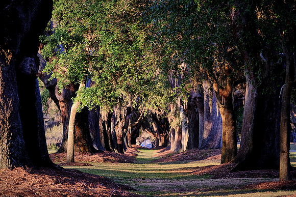 St. Simons Island, GA