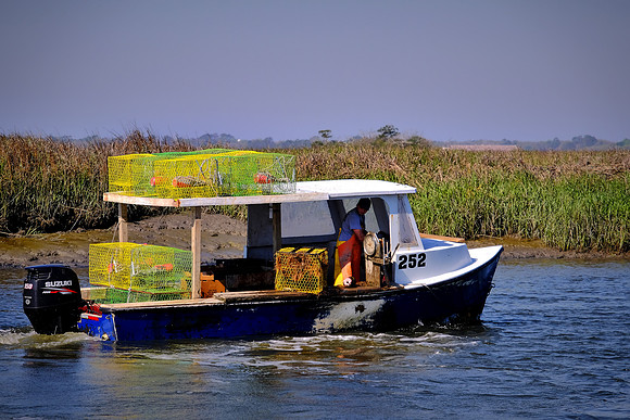 Shrimping on Brunswick River, St. Simons Island, GA