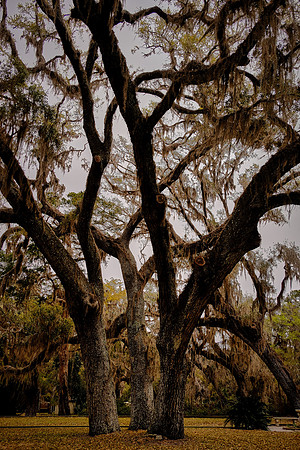 Sapelo Island, GA