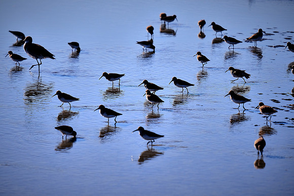St. Simons Island, GA