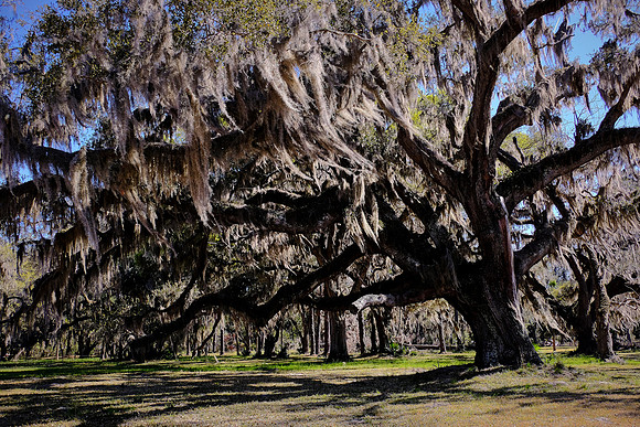 St. Simons Island, GA
