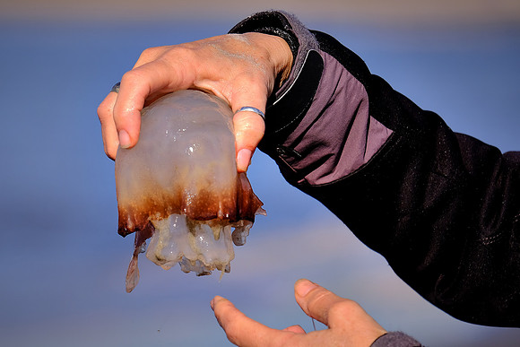 St. Simons Island, GA