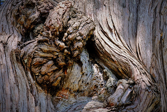 St. Simons Island, GA