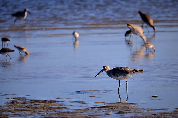 St. Simons Island, GA