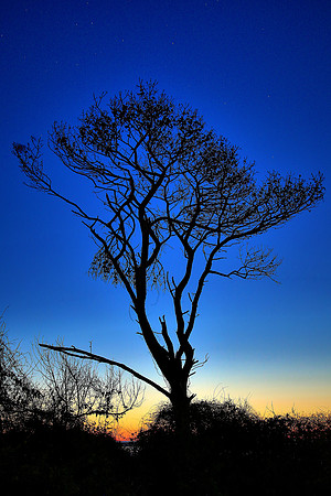 Sunrise, St. Simons Island, GA
