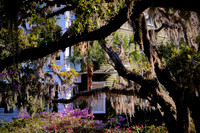 2017 March - St. Simons, Jekyll, & Sapelo Islands, GA