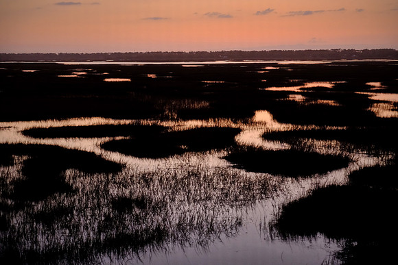 Sapelo Island, GA