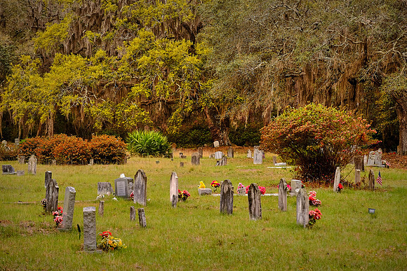 Sapelo Island, GA