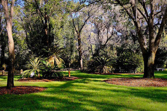 Christ Church Episcopal, St. Simons Island, GA