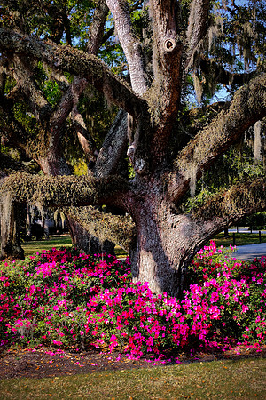 Jekyll Island Club, Jekyll Island, GA