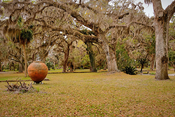 Sapelo Island, GA