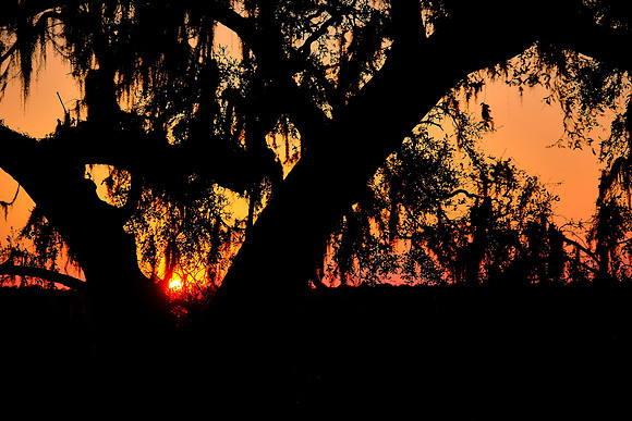 Sunset, Spring Island, SC